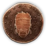 旧日勇士的奖杯