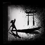 转瞬即逝的命运