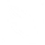 《罗马书》3章23节