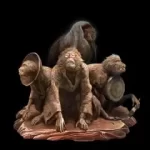 观猴、闻猴、言猴